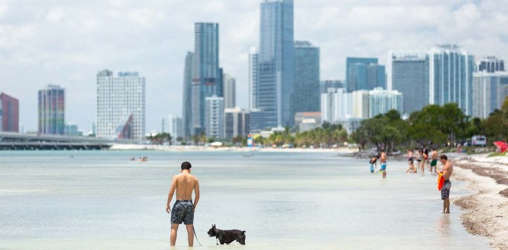 key-biscayne_hobie-island-beach-park_dog_people_rickenbacker-causeway-20180509-042-2